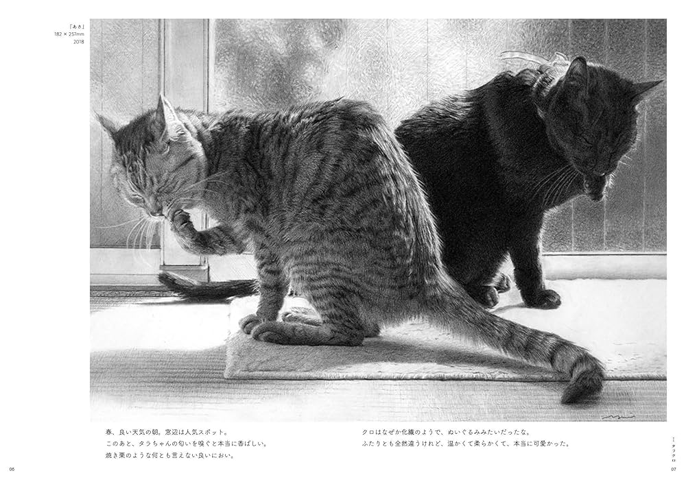 箱入り猫 鉛筆画 箱入り猫 鉛筆画